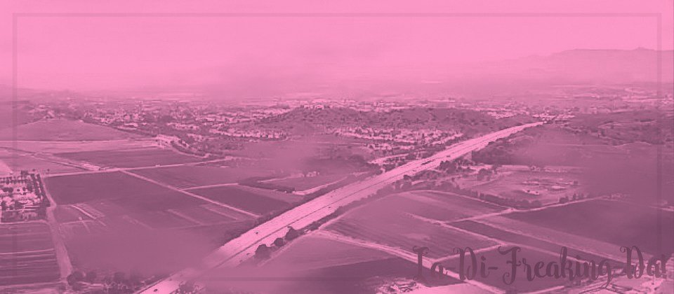 Vintage Anniversary Festivities